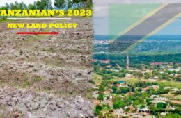 Land-Policy-chapishio-1170x658